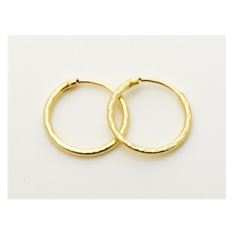 Náušnice kruhy ze žlutého zlata 15 mm NA1183F + Dárek zdarma Titan