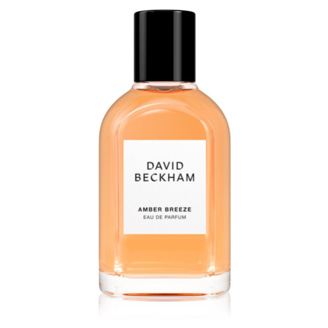 David Beckham Amber Breeze parfémovaná voda pro muže 50 ml