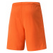 Pánské kraťasy TeamRise Short Prist M 704942 08 - Puma