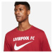 Nike LIVERPOOL FC SWOOSH Pánské tričko, červená, velikost