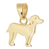 Přívěšek ze žlutého zlata pes ZZ1065F + dárek zdarma