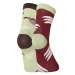 Veselé dětské ponožky Dedoles Lenochod (GMKS025)