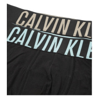 Pánské boxerky 2pack NB2602A 6HF černá - Calvin Klein