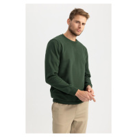 DEFACTO Regular Fit Crew Neck Cotton Basic Sweatshirt