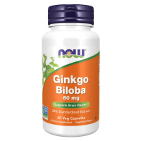 Now Foods Ginkgo Biloba 60 mg 60 kapslí