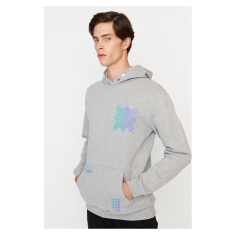 Trendyol Gray Regular/Regular Fit Hooded Printed Sweatshirt