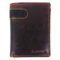 Sendi Design Pánská kožená peněženka D-2306 RFID hnědá