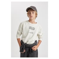 DEFACTO Boy's Crew Neck Printed Sweatshirt