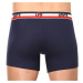 2PACK pánské boxerky Levis vícebarevné (701223908 002)