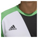 Brankářský dres adidas Assita 17 Jersey Zelená / Bílá