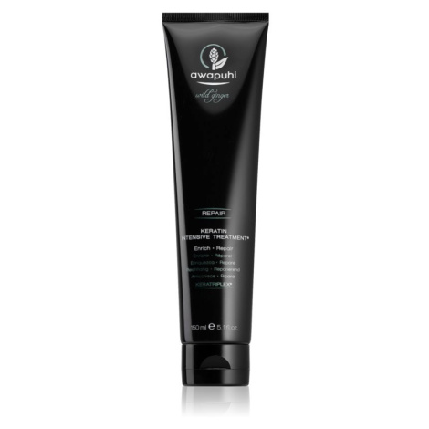 Paul Mitchell Awapuhi Wild Ginger regenerační maska pro suché a poškozené vlasy 150 ml