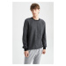 DEFACTO Regular Fit Crew Neck Sweatshirt