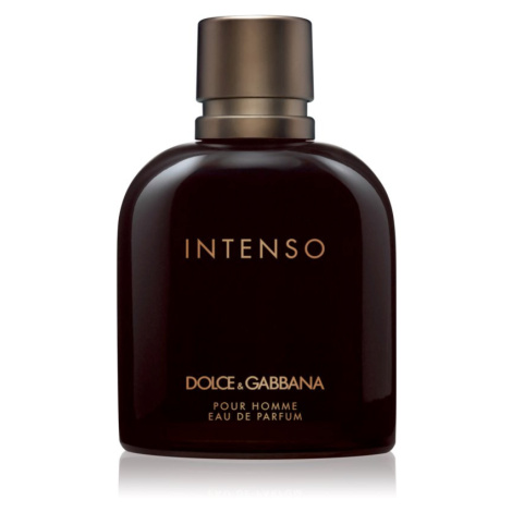 Dolce&Gabbana Pour Homme Intenso parfémovaná voda pro muže 200 ml Dolce & Gabbana