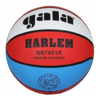 Gala Harlem Basketbal