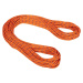 Mammut 9.0 Alpine Sender Dry Rope, 50 m