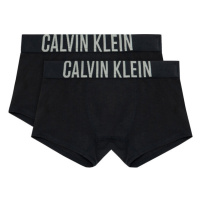 Sada 2 kusů boxerek Calvin Klein Underwear