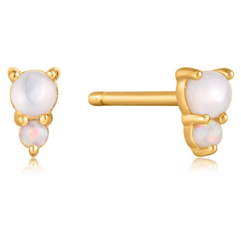 Ania Haie E034-02G Earrings - Rising Star