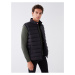 LC Waikiki Standard Mold Stand Collar Men's Puffer Vest