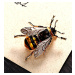 Camerazar Elegantní brož ve tvaru velkého hmyzu, zlatá bižuterní slitina, 2,5 cm * 3,7 cm