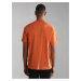 Oranžové pánské tričko NAPAPIJRI