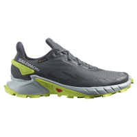 Salomon Alphacross 4 GTX M