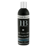 H&B Dead Sea Minerals Ošetřující šampon pro muže 400 ml