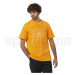 Salomon Graphic SS Tee M LC2247000 - zinnia