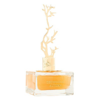 Aurora Scents Deciduous Autumn - EDP 100 ml + EDP 8 ml