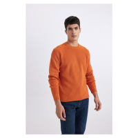 DEFACTO Standard Fit Crew Neck Sweater