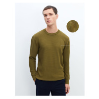 LC Waikiki Crew Neck Long Sleeve Men's Knitwear Sweater