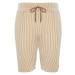 Trendyol Beige Striped Regular/Regular Fit Shorts