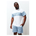 Trendyol Blue and white Color Block Regular Fit Printed Large Size Shorts Pajamas Set