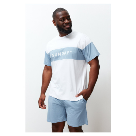 Trendyol Blue and white Color Block Regular Fit Printed Large Size Shorts Pajamas Set