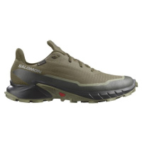 Salomon ALPHACROSS 5 GTX Pánská trailová obuv, tmavě zelená, velikost 41 1/3