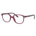 Ray-Ban Junior Junior Leonard RY9093V 3898 - L (45)