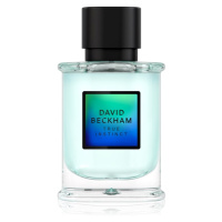 David Beckham True Instinct parfémovaná voda pro muže 50 ml