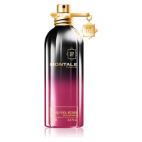 Montale Oud Fool Roses parfémovaná voda unisex 100 ml