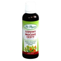 DR.POPOV Ledviny-močové cesty Bylinné kapky 50 ml