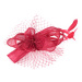 Art Of Polo Woman's Fascinator cz22170