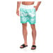 Edoti Men's swimming shorts