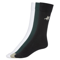 LIVERGY® U. S. Grand Polo Pánské ponožky, 3 páry (zelená/bílá/černá)
