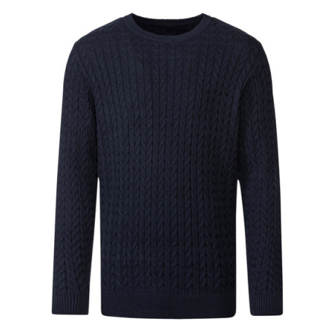 LIVERGY® Pánský svetr (tmavě modrá)