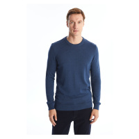 LC Waikiki Crew Neck Long Sleeve Men's Knitwear Sweater