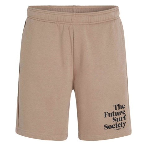 Kalhoty 'Future Surf Society' O'Neill