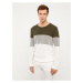 LC Waikiki Crew Neck Long Sleeve Color Block Men's Knitwear Sweater