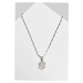 Small Dollar Necklace - silver