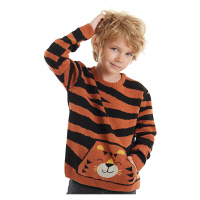 Denokids Tiger Boy Brown Sweater