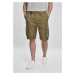 Double Pocket Cargo Shorts - summerolive