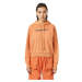 Diesel Sweatshirt - F-REGGY-HOOD-IND SWEAT-SHIRT orange