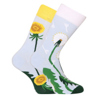 Veselé ponožky Dedoles Pampeliškové jaro (D-U-SC-RS-C-C-1562) M